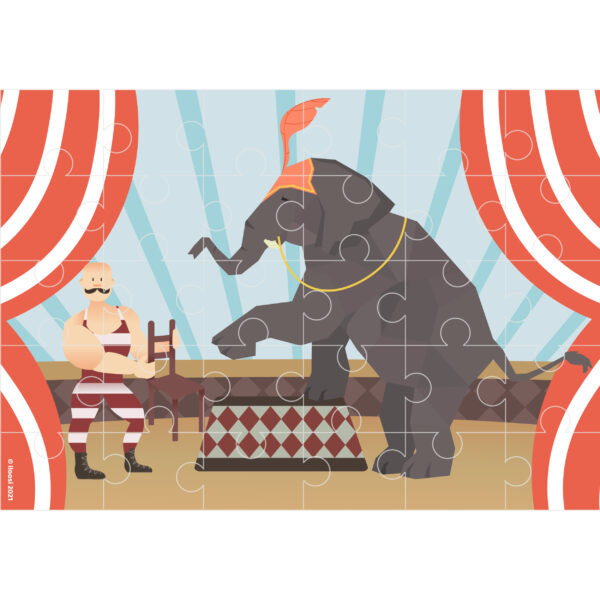 Circus elephant puzzle
