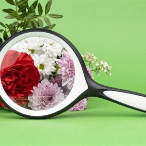 Suurennuslasi DÖRR HL-2 2x 90 mm mustavalkoinen kahvalla