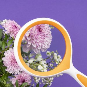 magnifying glass DÖRR HL-2 3x 80 mm bicoloured